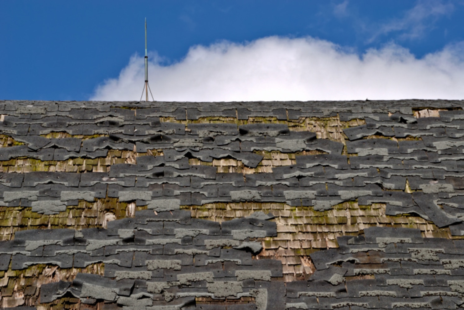 Siding Contractor, Roof Repair, Slate Roof, Builder, Roofing Contractors 