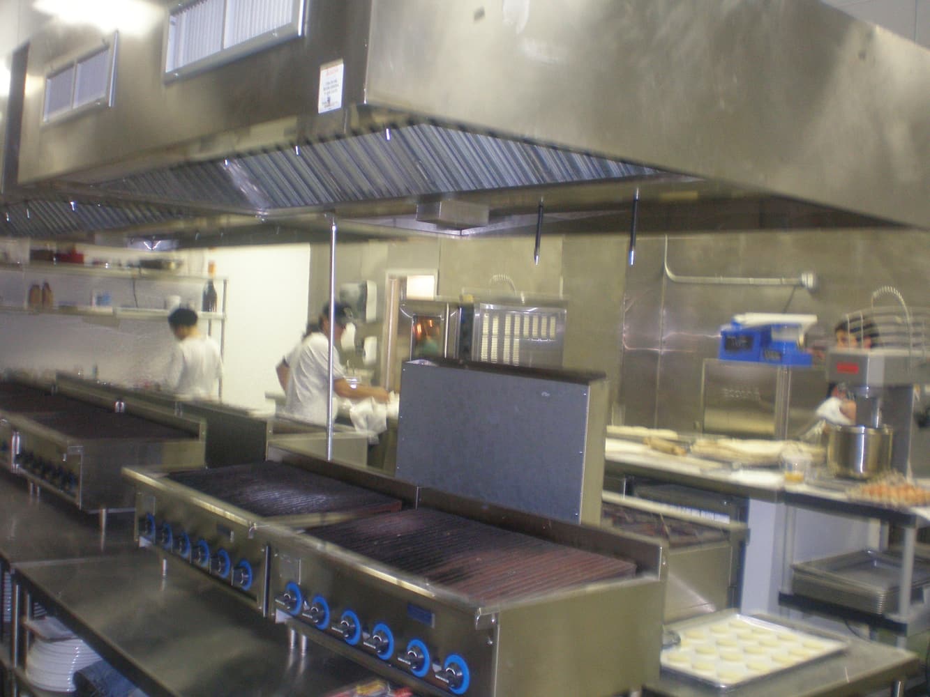 COMERCIAL GUSTO ORGANIC