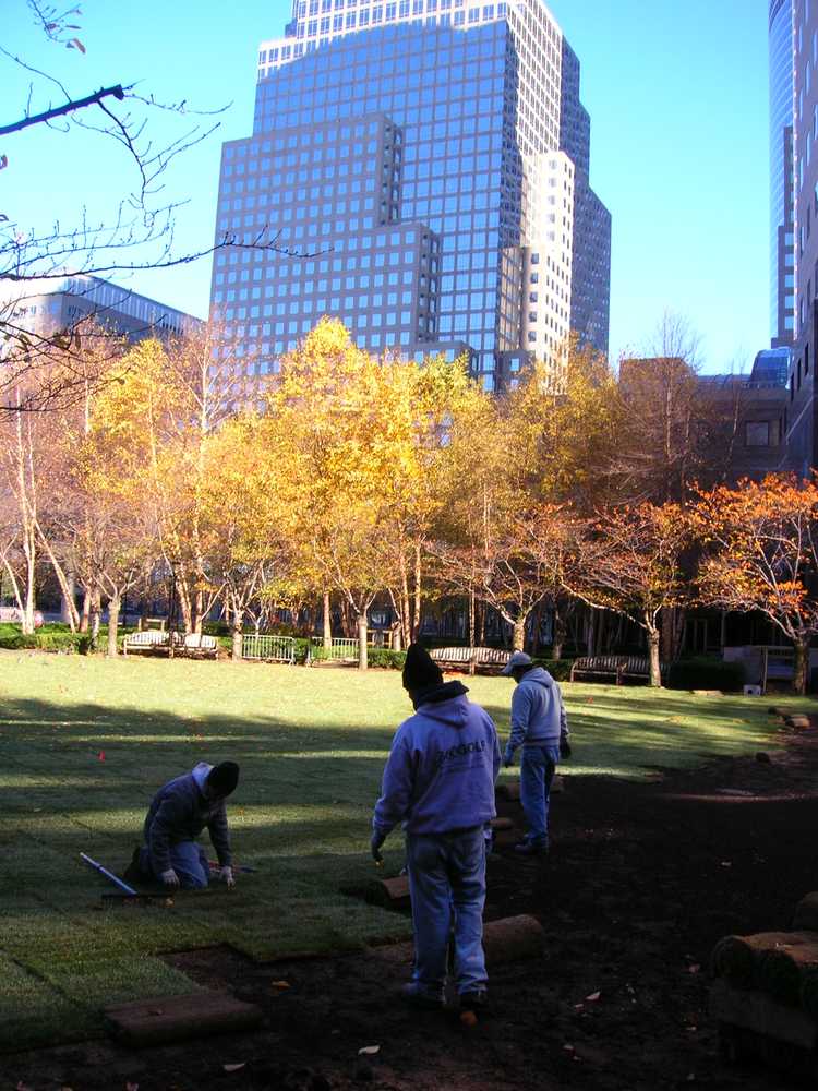 360 Golf - Landscape construction