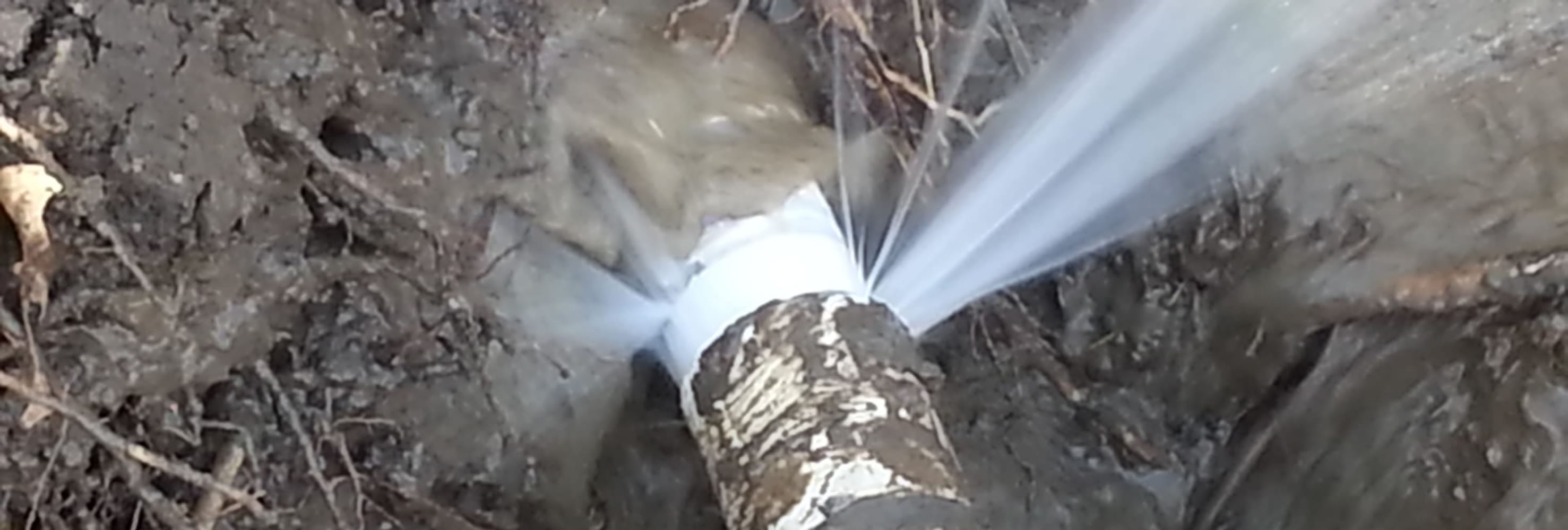 Photos from Leak Masters USA