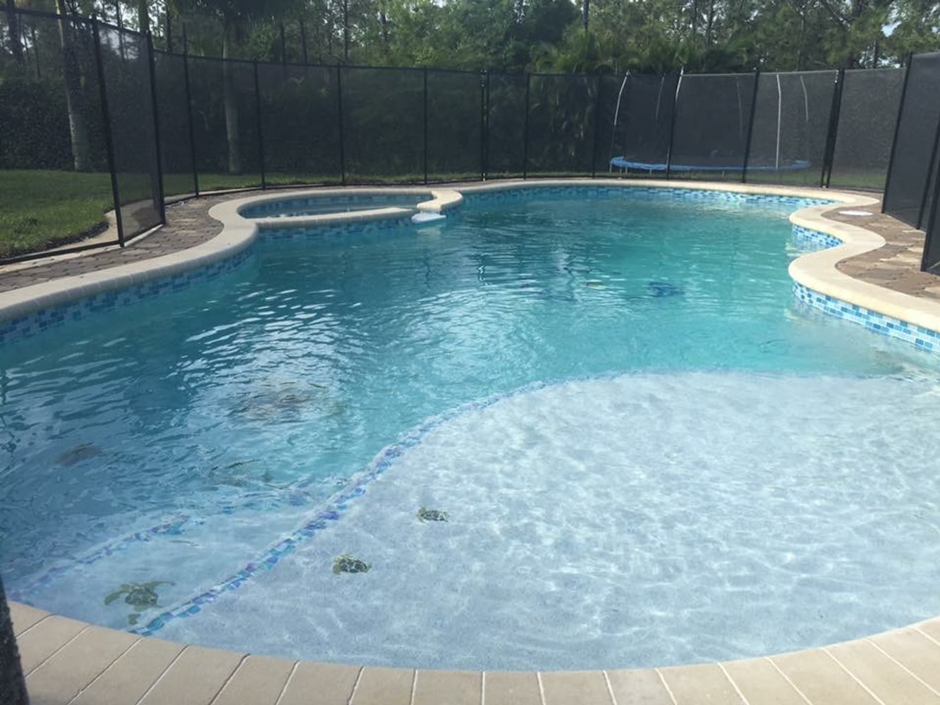 Photos from American Blue Pool And Spas Inc