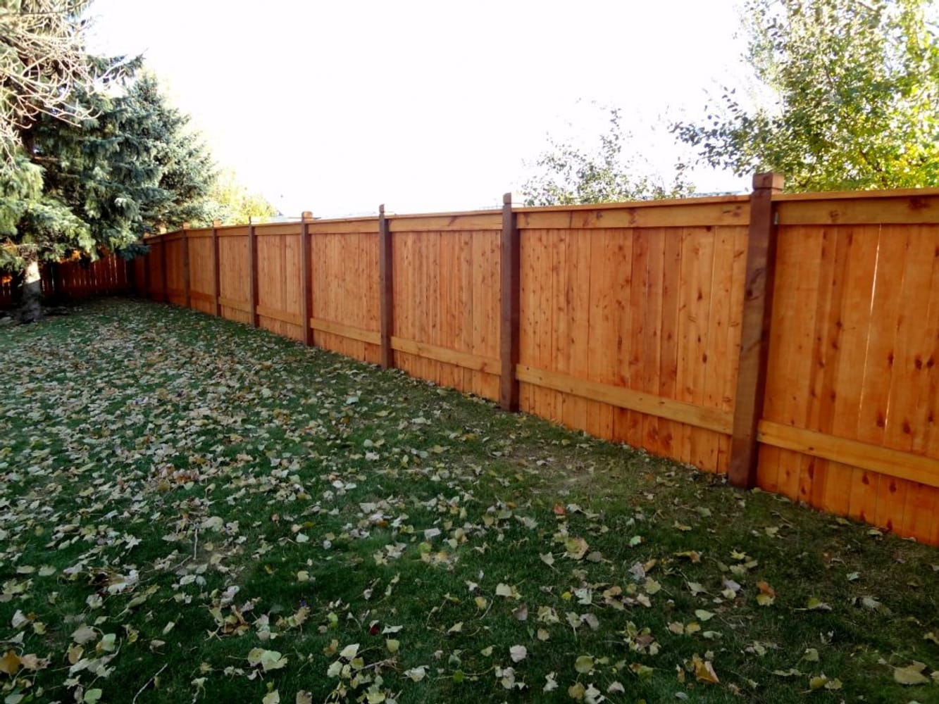 Elite Custom Fence Llc Project