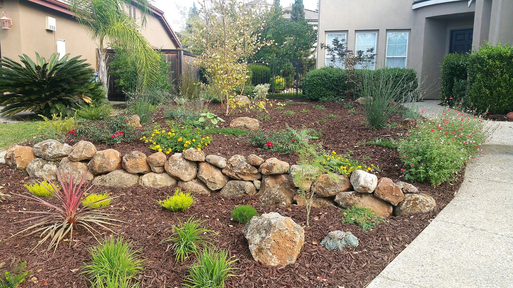 Photos from Greenheart Nursery and Landscape