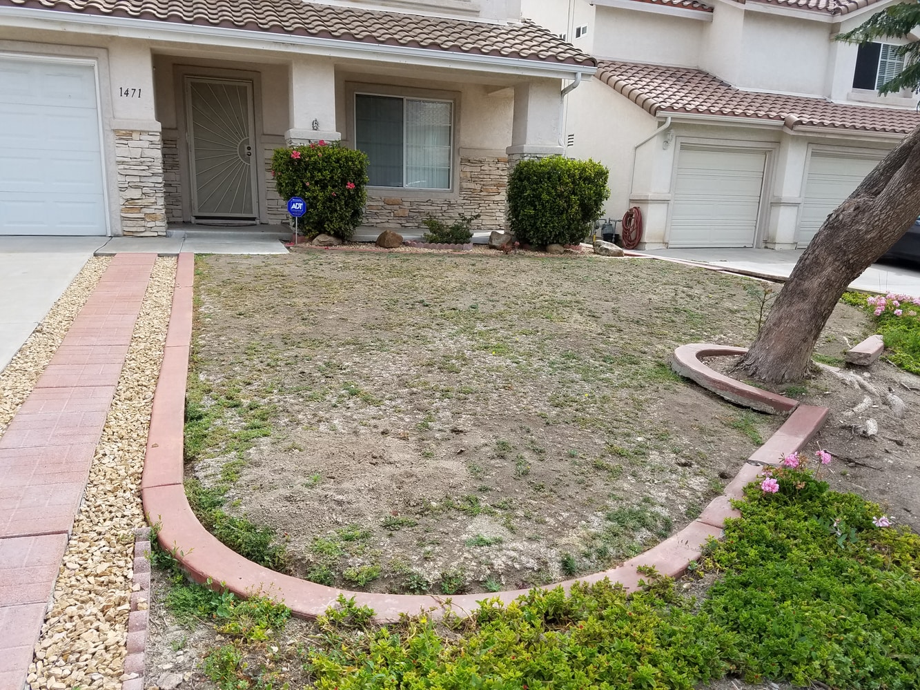 Chula Vista Xeriscape