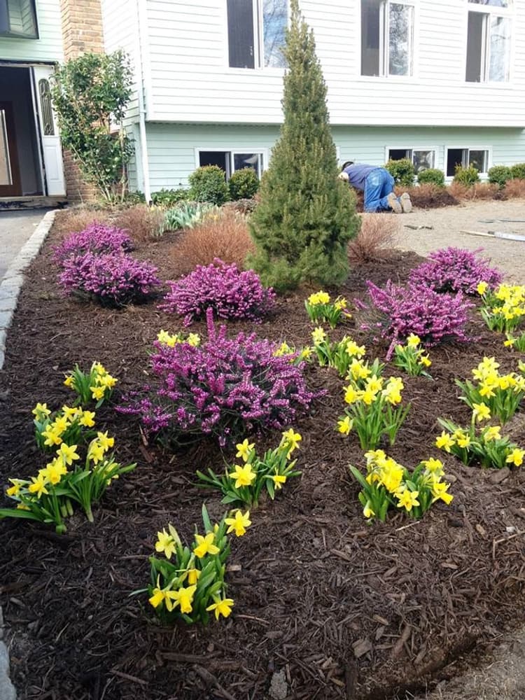 Photo(s) from Russ Fragala Landscape Corp