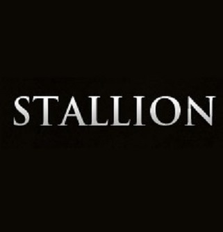 Stallion Total Painting