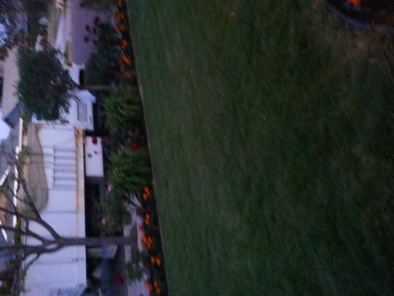 Playa Landscaping Inc Project