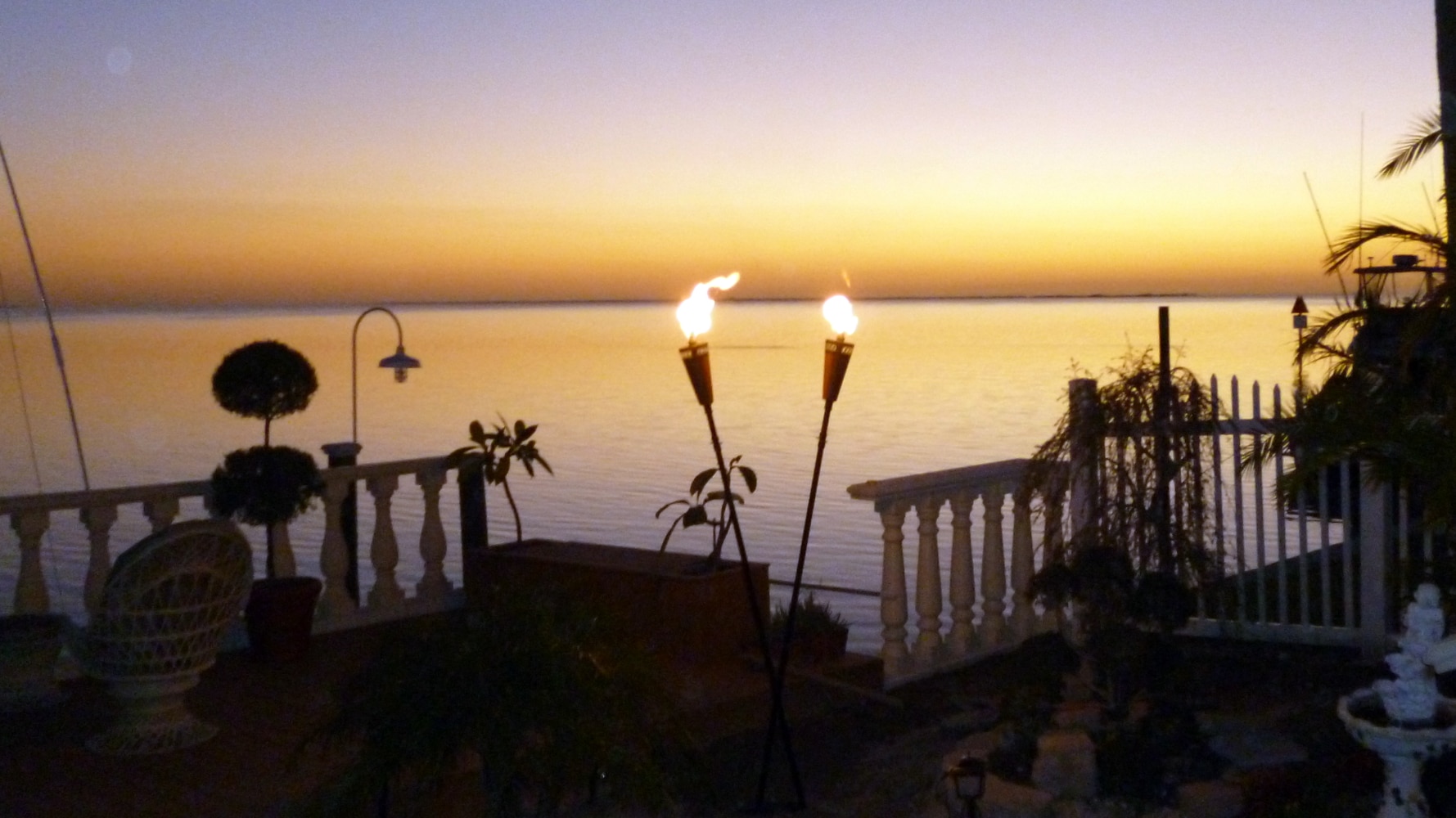 Propane/Natural Gas Services 813-562-4008