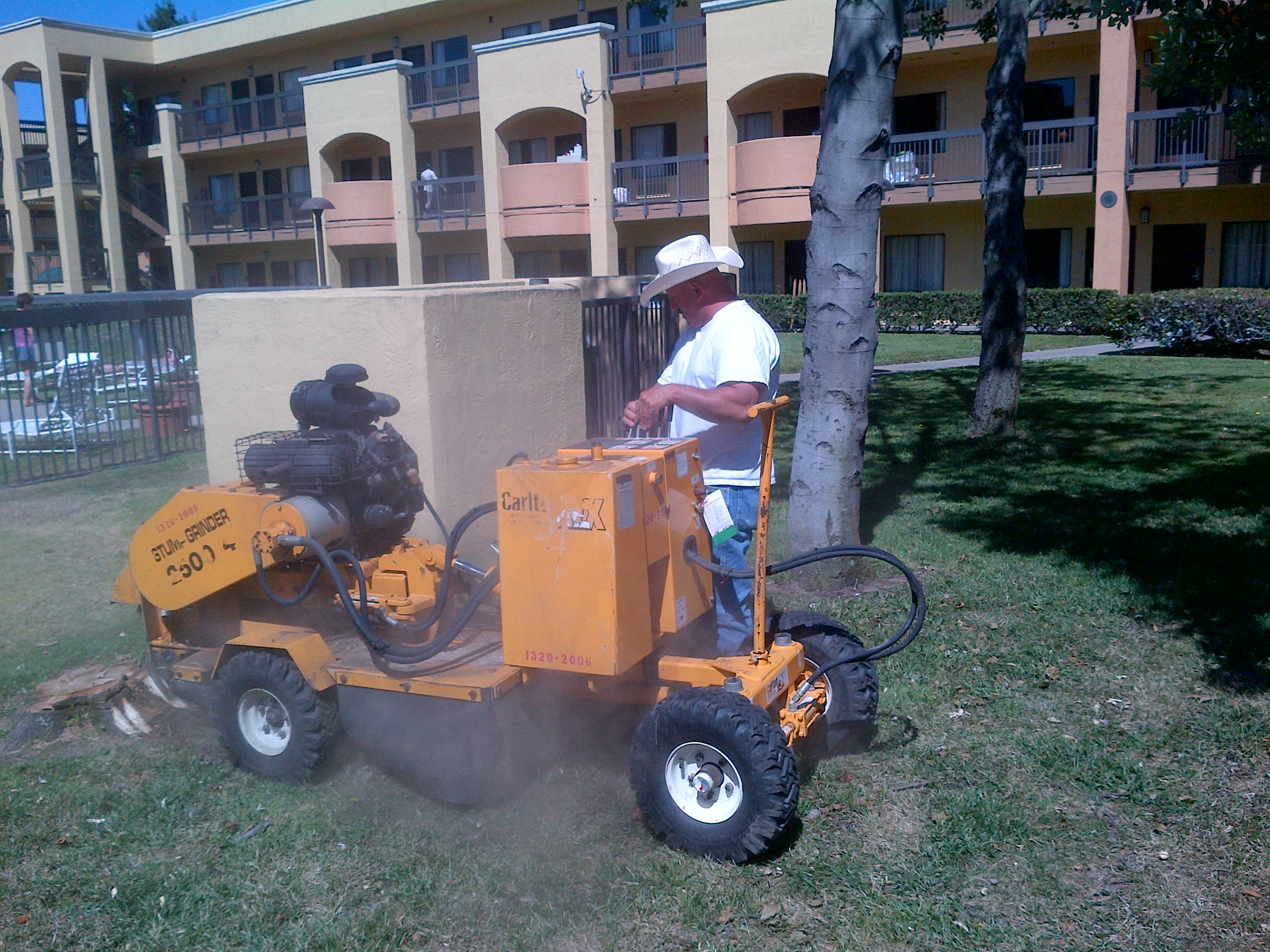 FIREFIGHTER TREE SERVICE