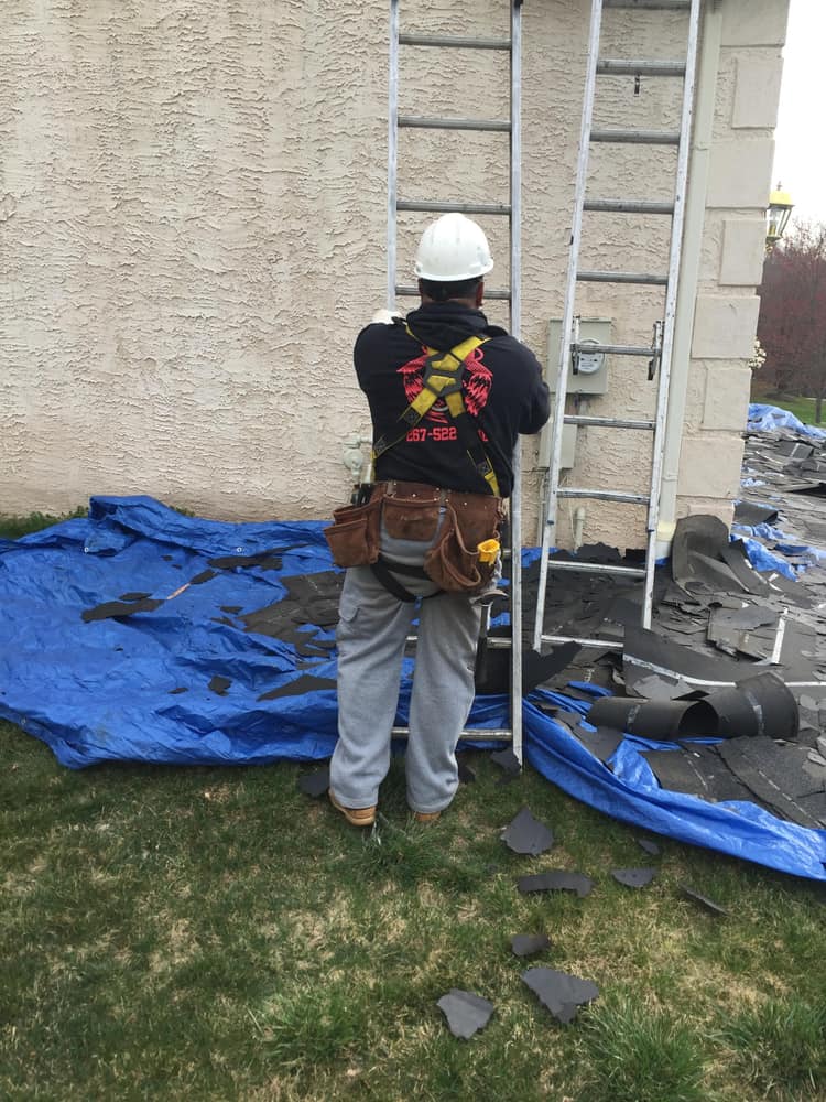 Roof & Stucco Remediation