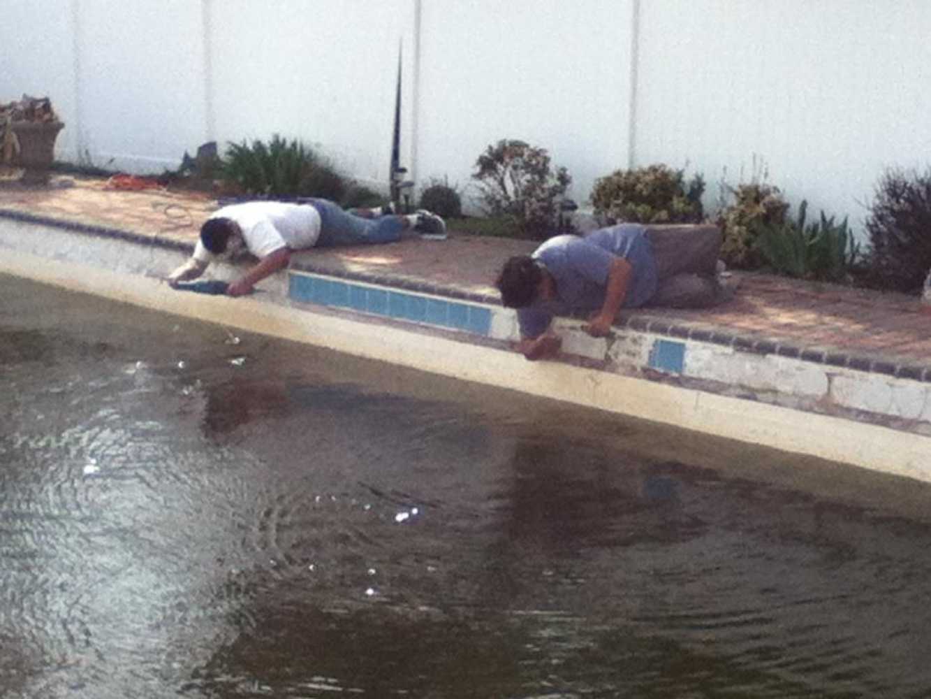 Photo(s) from M 5 Pool Company