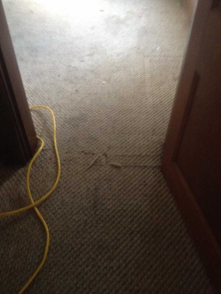 carpet cleaning and repair