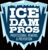 Ice Dam Pros
