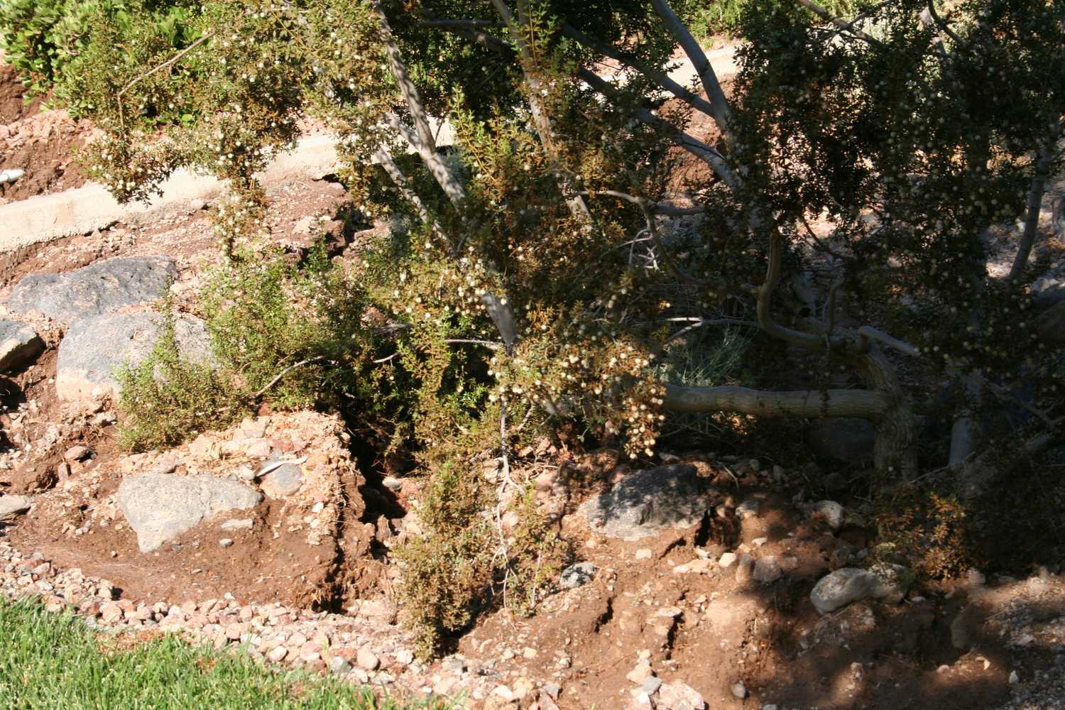 Beyond The Rocks Llc repairs