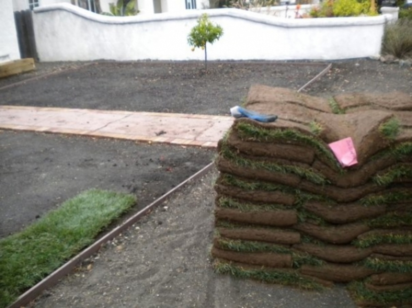 Starting sod installation in San Luis Obispo