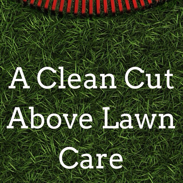 A Clean Cut Above Lawn Care Llc