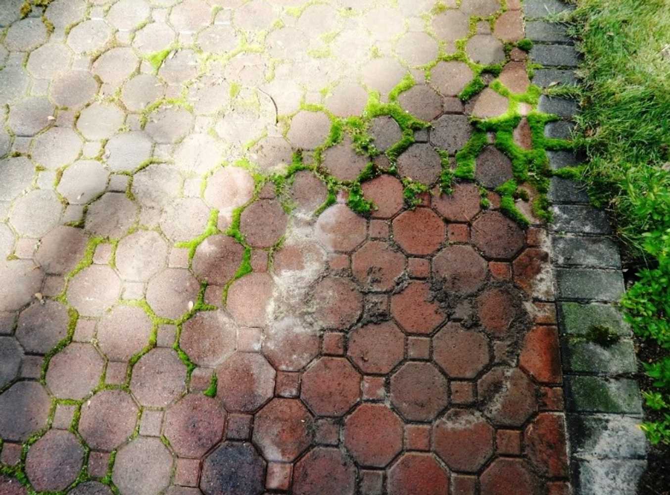 Photo(s) from PowerWash Plus