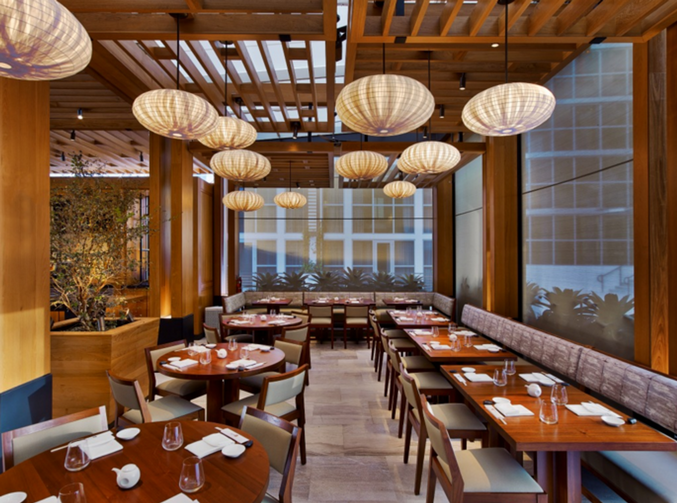 Nobu Eden Roc Pictures