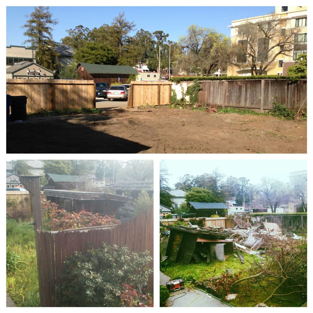 Hoopster Haven in Novato, Ca.