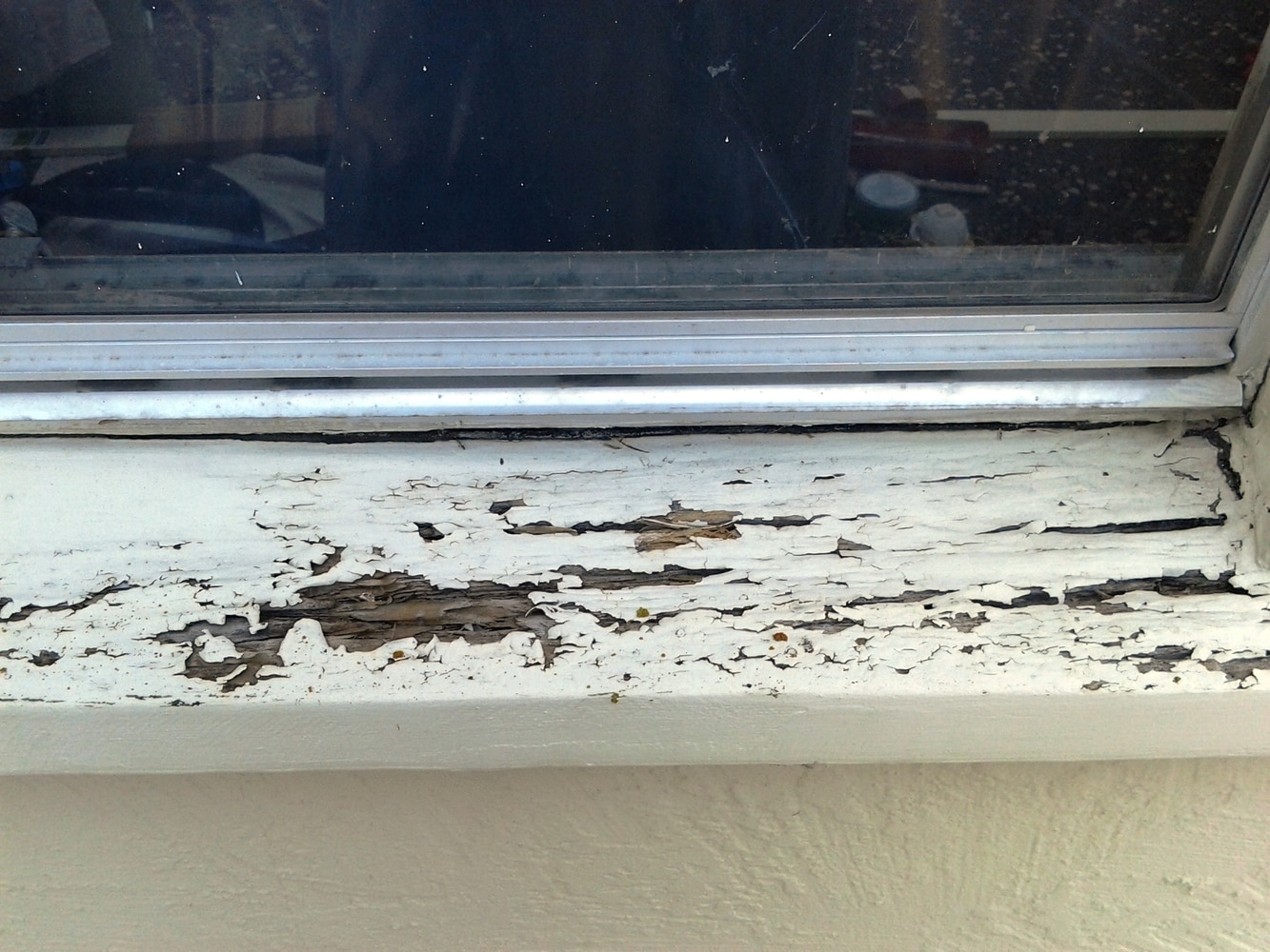 Dry Rot Repair