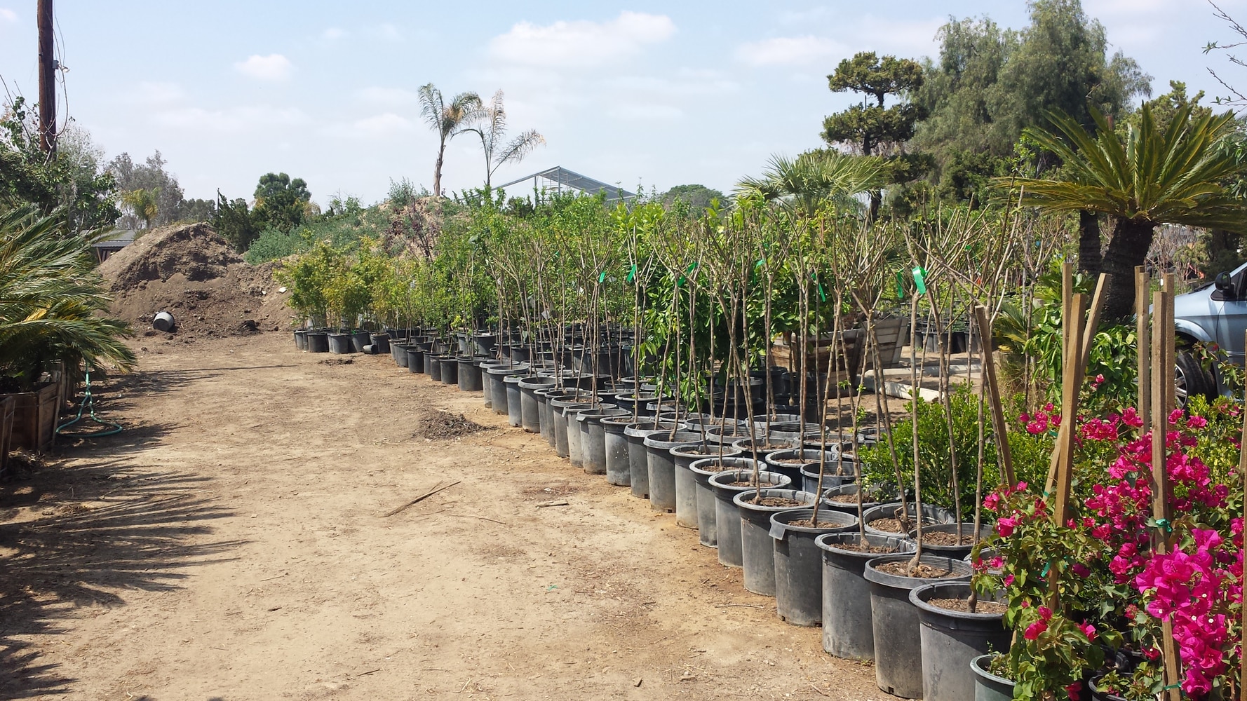 The Complete Yard Service Project