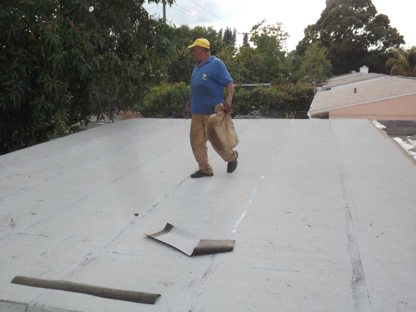 keeves Flat roof and family room ceilling .