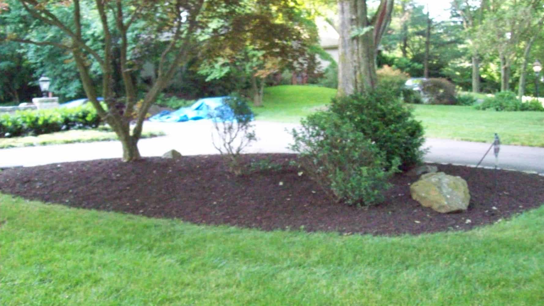 Photos from Montes Landscaping