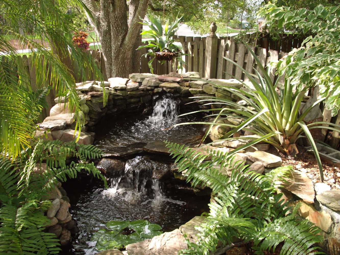 Zia Design Solutions - Landscaping