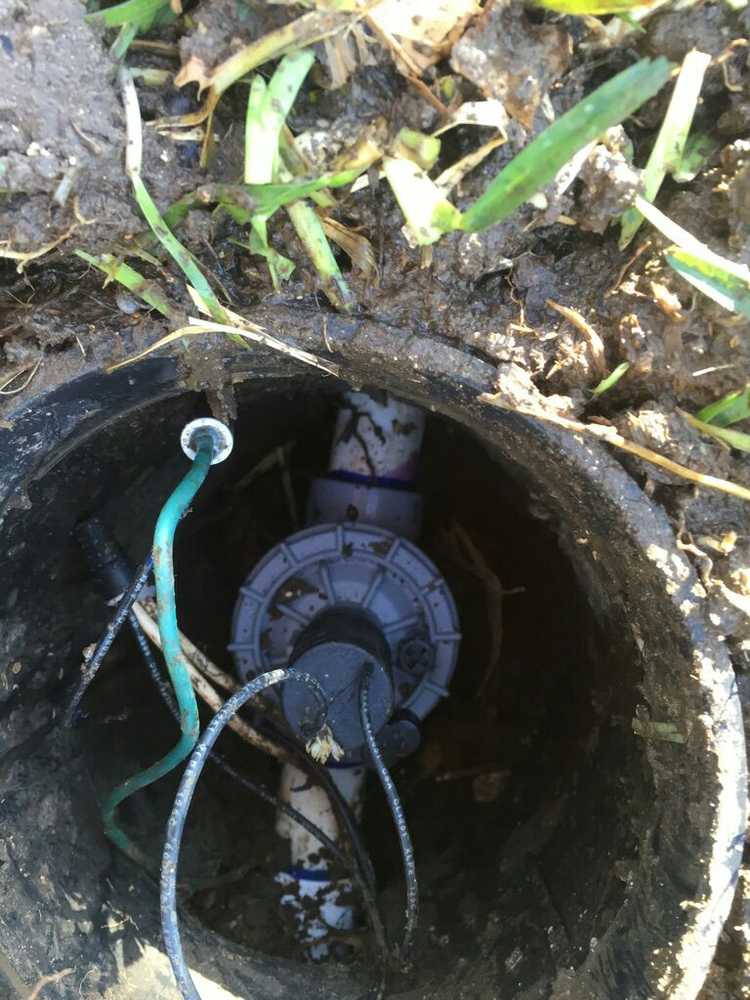 Lawn Sprinkler System