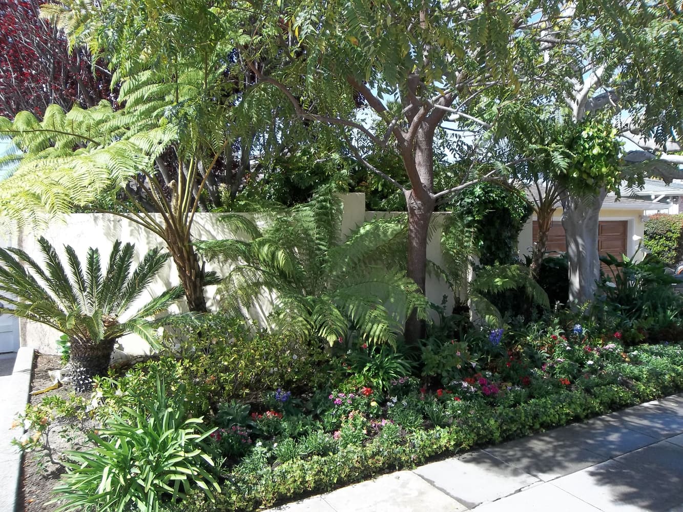 Photos from All - Seasons Landscape Construction & Management