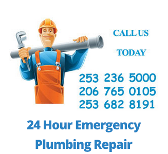 Drain Pro Plumbing Inc
