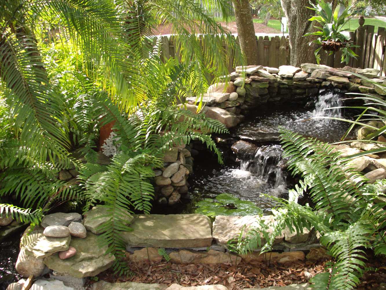 Zia Design Solutions - Landscaping