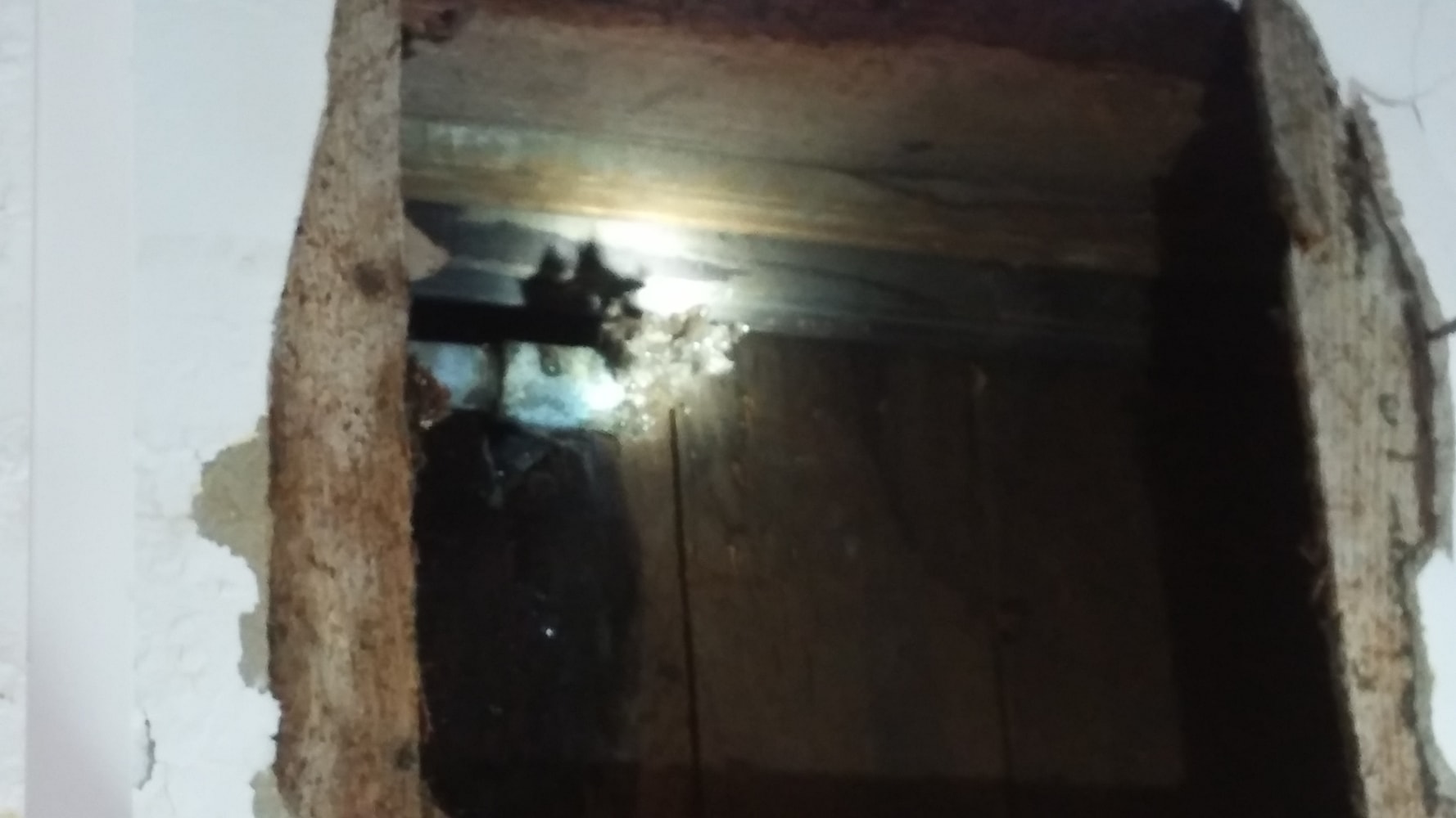 Photos from Mikes Hardcore Contracting