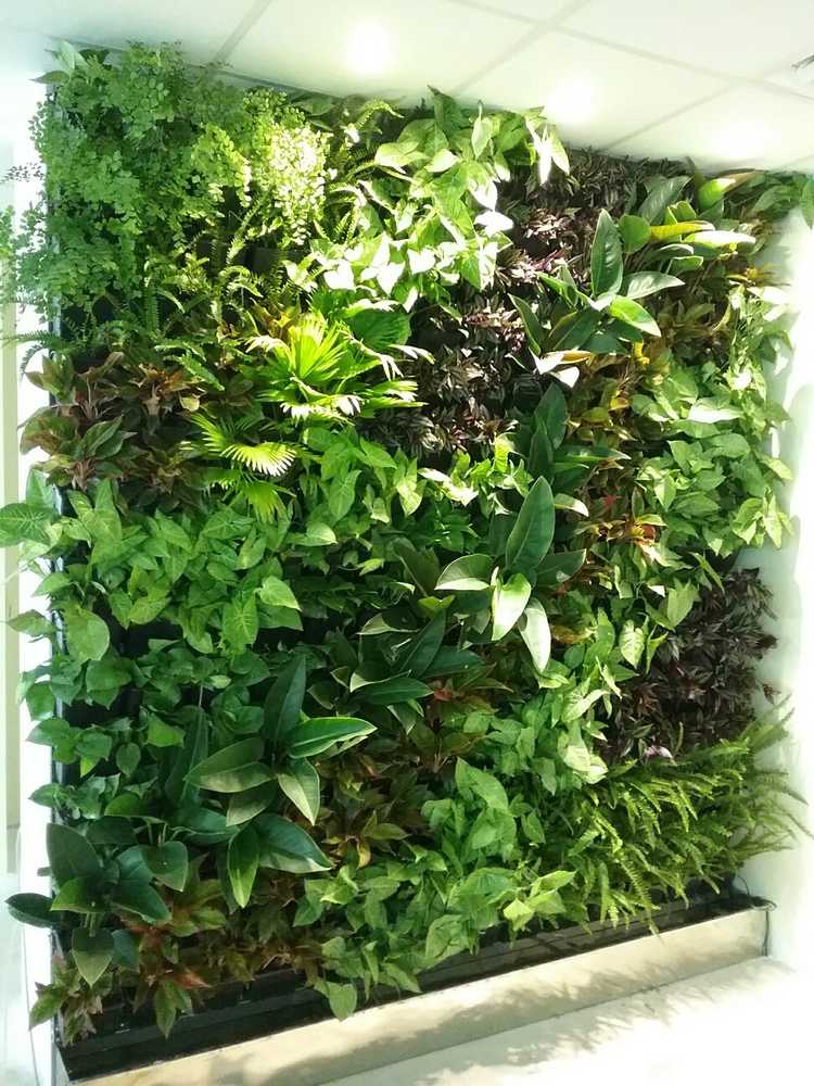Vertical Gardens
