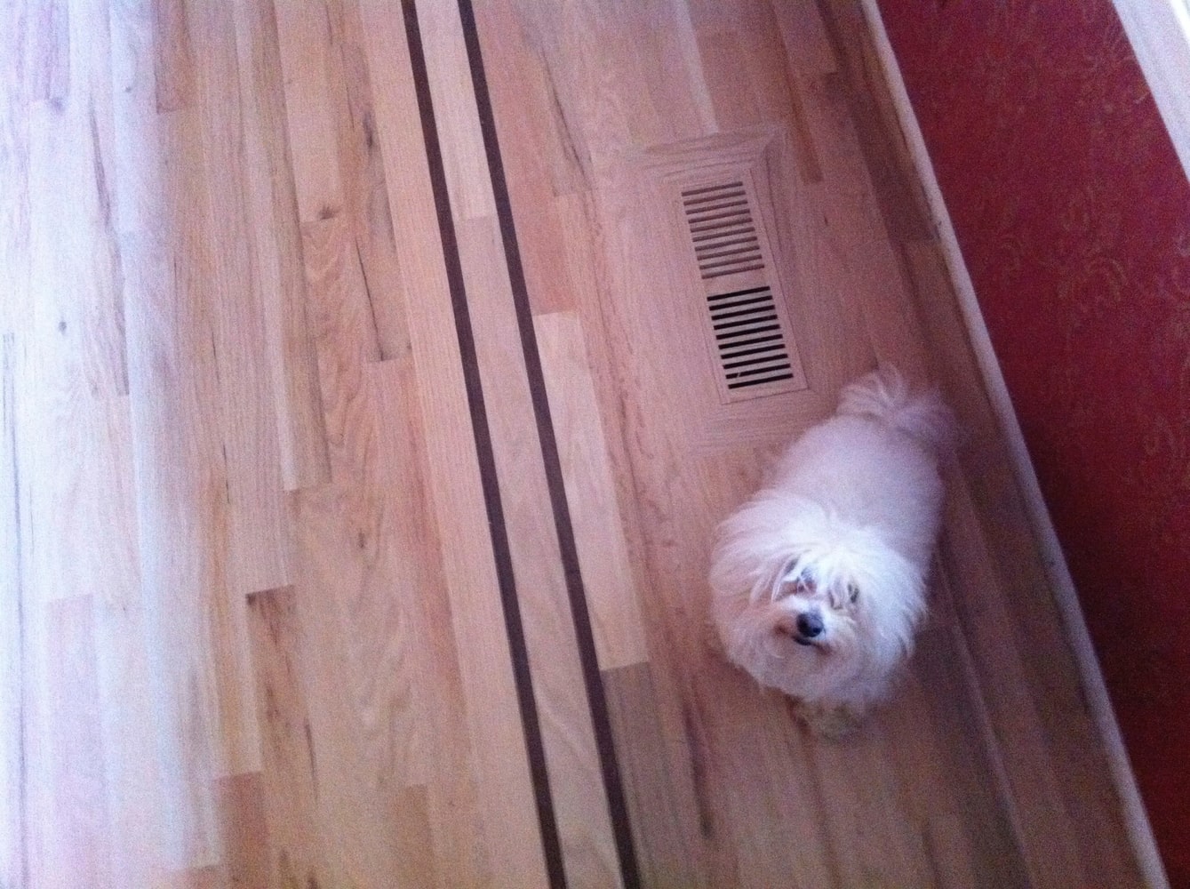 Samples and projects. 