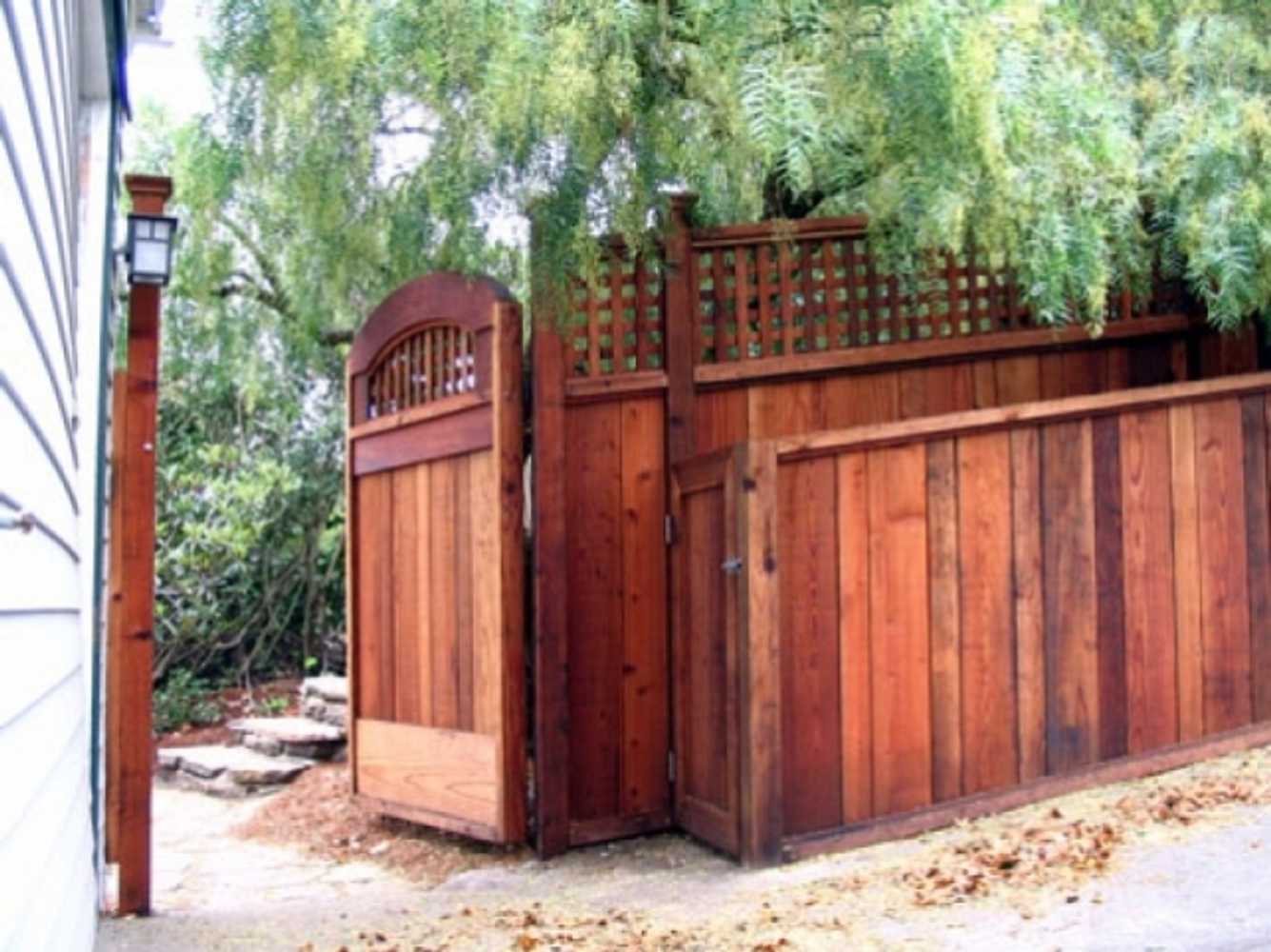 Redwood Garden