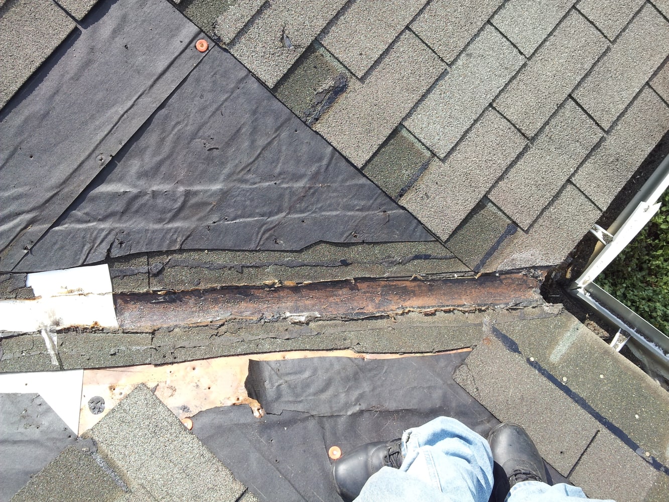 Photo(s) from Nicholas Provards Construction