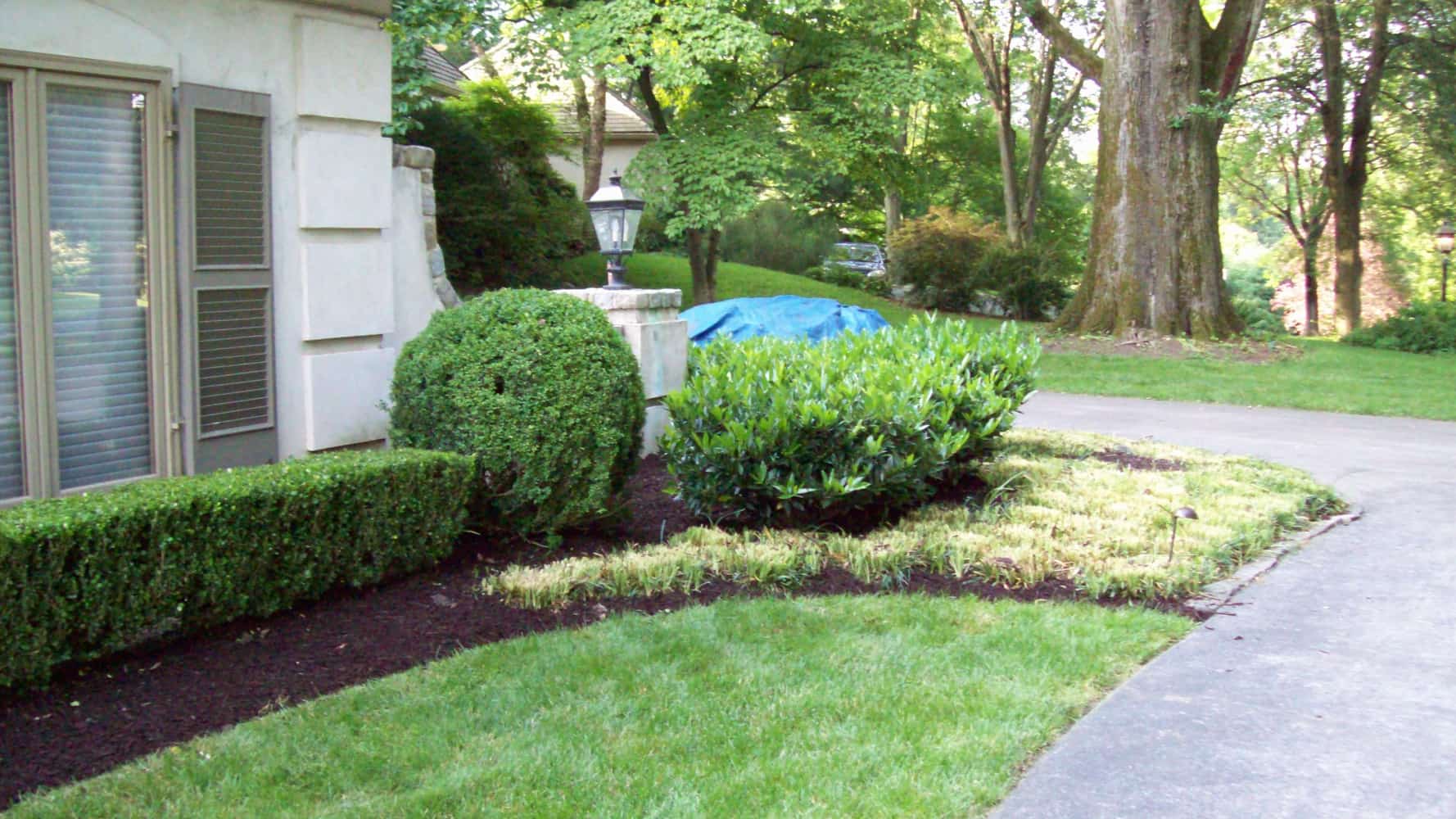 Photos from Montes Landscaping