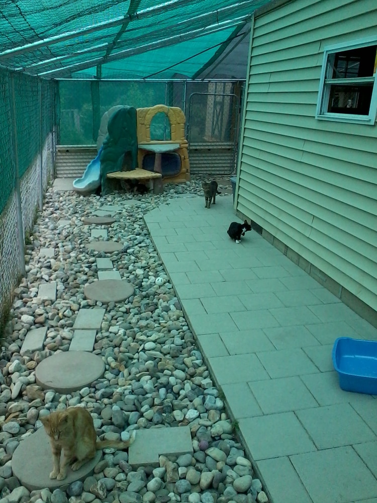 Sk Repairs And Renovations Project 4