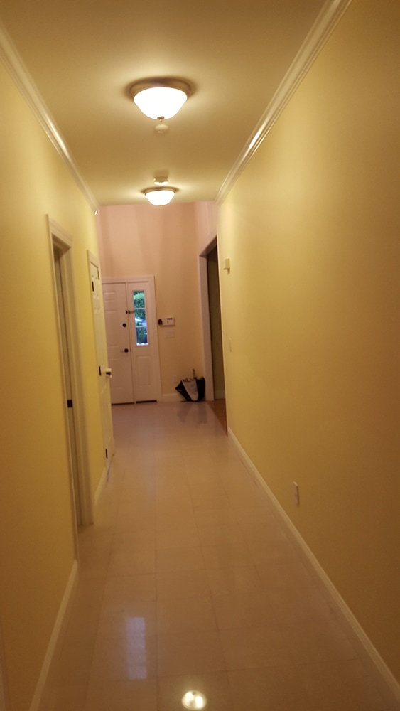 Photos from Go Green Finish