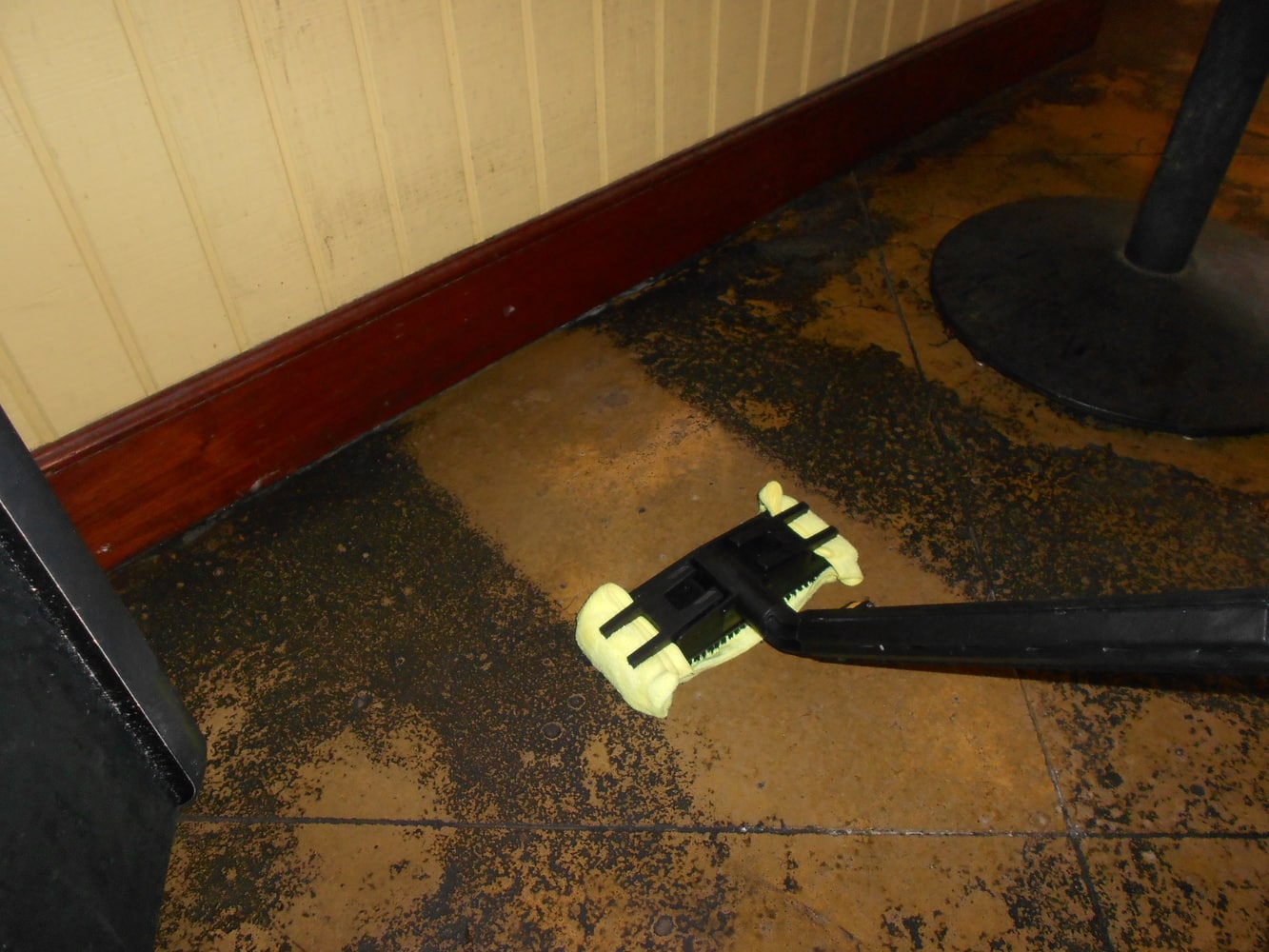 Projects by CRI, Renovations & Steam Cleaning services