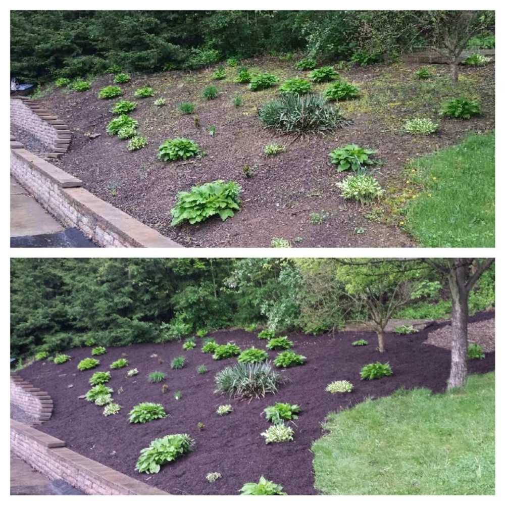 Photo(s) from Eagle Property Management Pgh