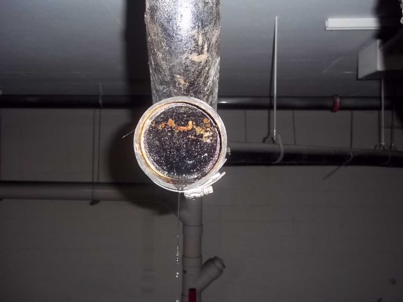 Commercial Hydro Jetting