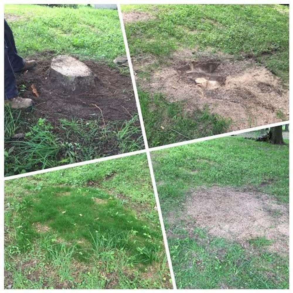 Photo(s) from Dlp Construction, LLC