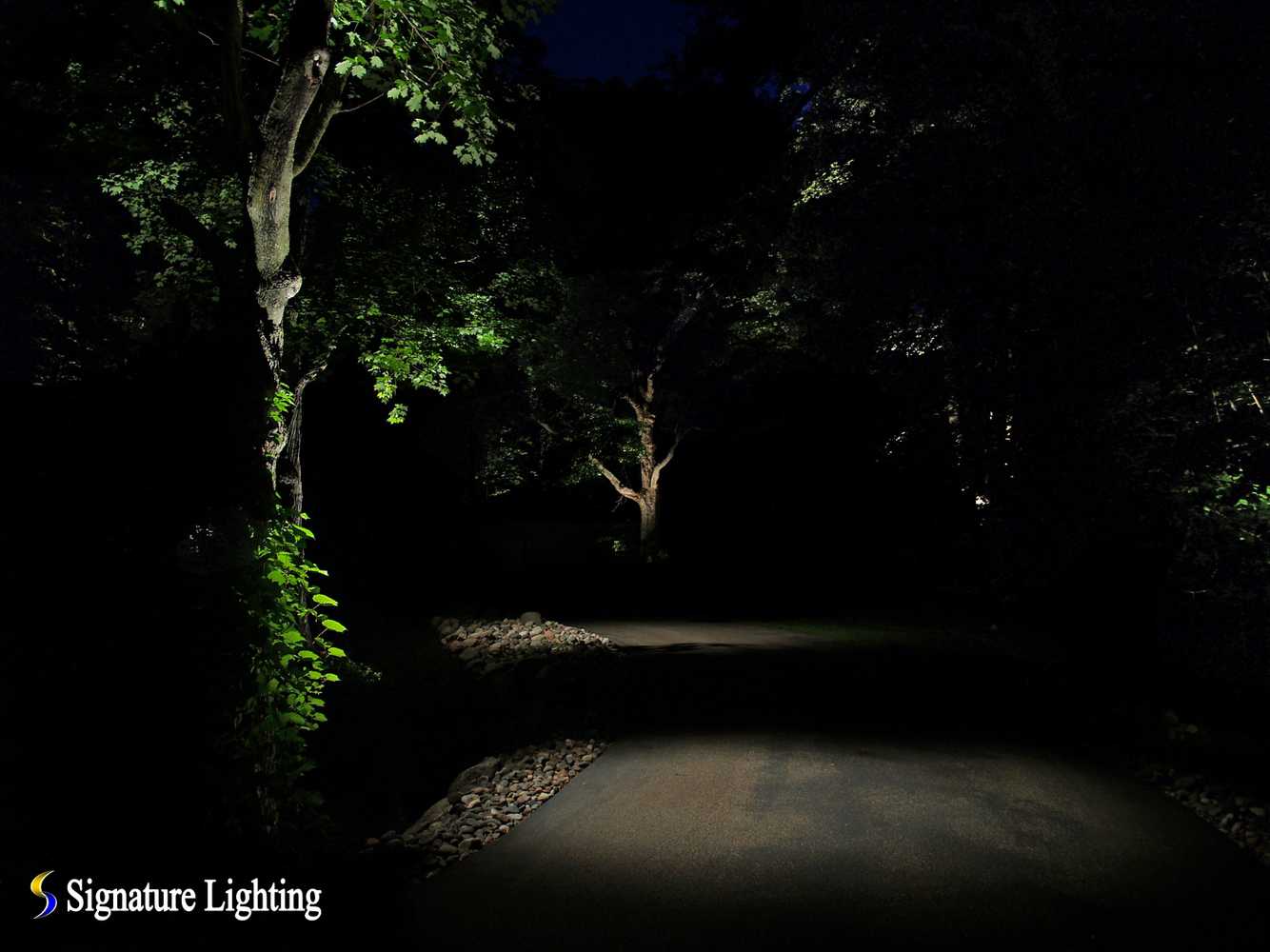 Landscape Lighting