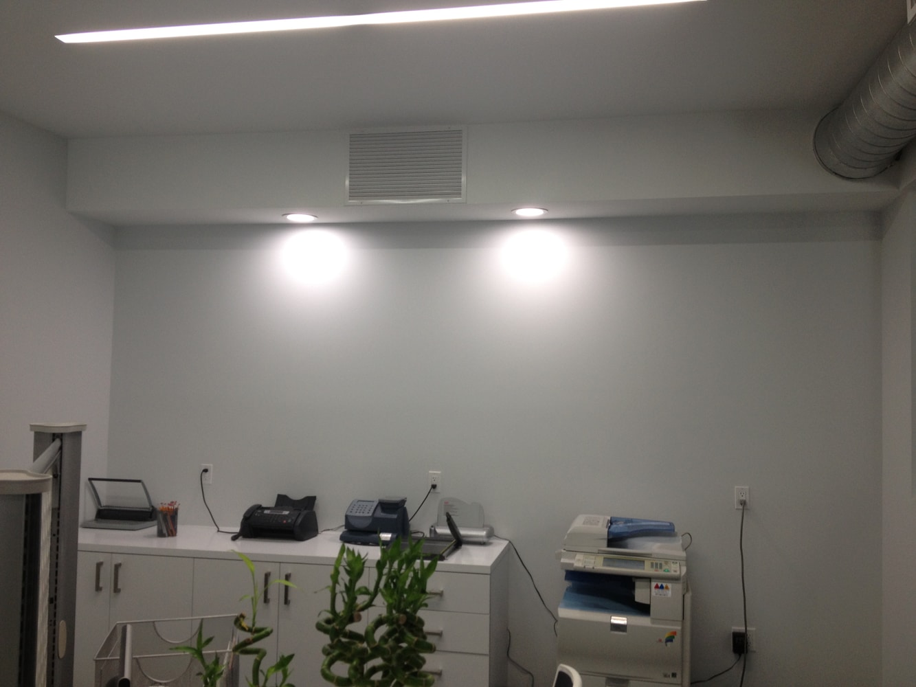 LED Lighting/Fiber Optics