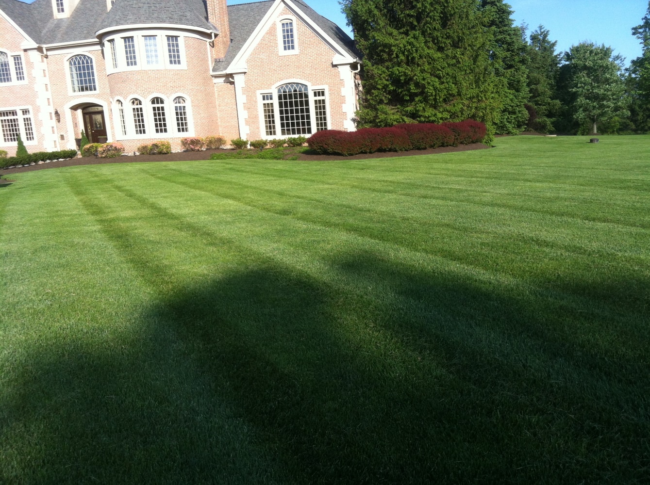 Photos from Superior Land Care Inc