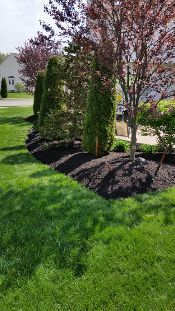 Photo(s) from Stripes Of Green