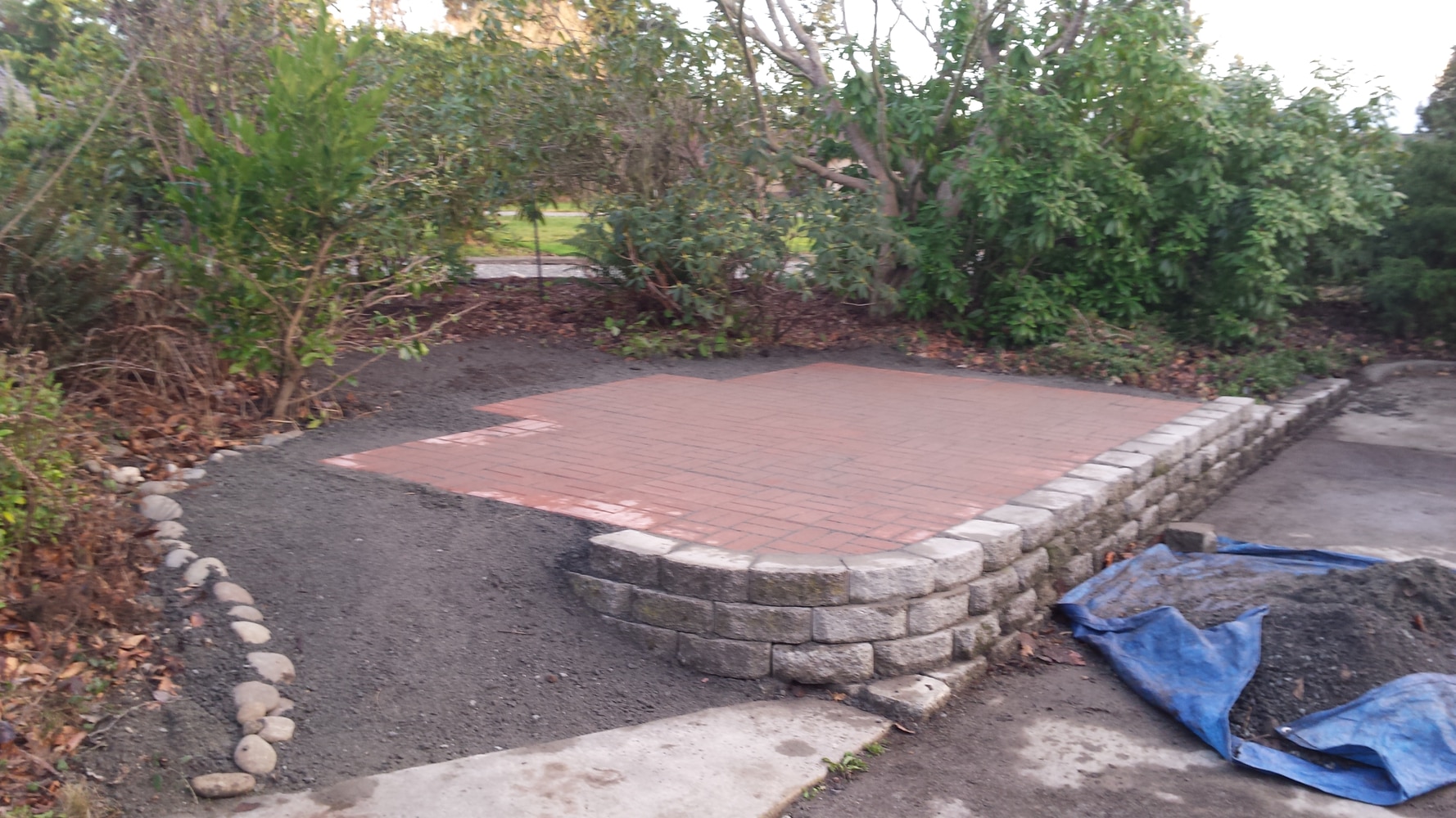 Photos from That Yard Guy