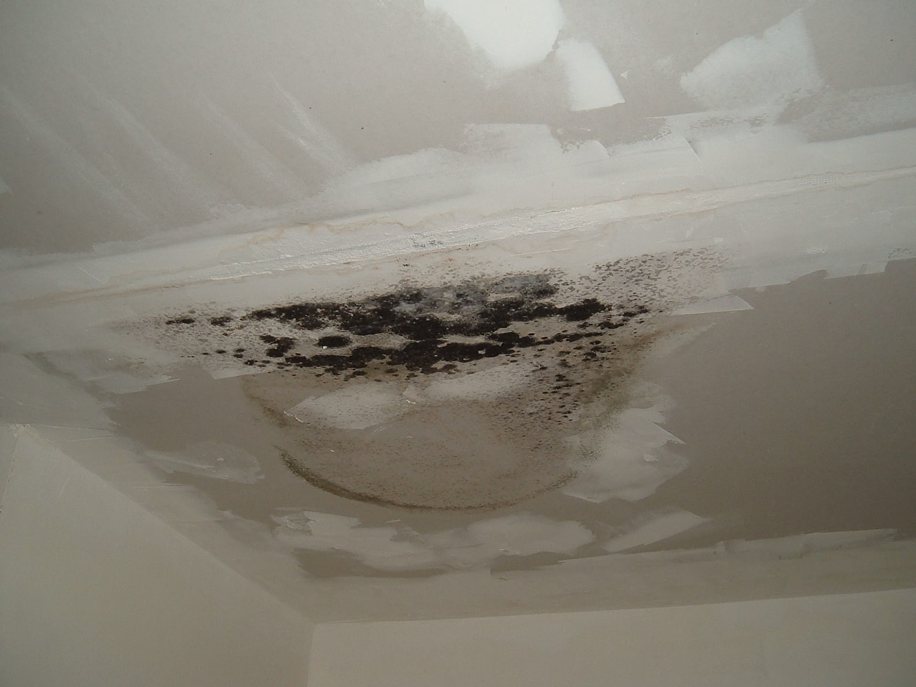 Personal Touch Services Inc Project